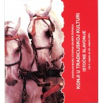 Katalog "Konji"